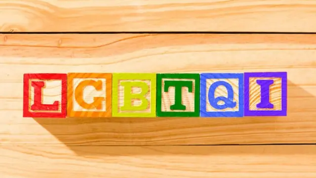 தன்பாலின திருமணம், இந்தியா, உச்ச நீதிமன்றம்