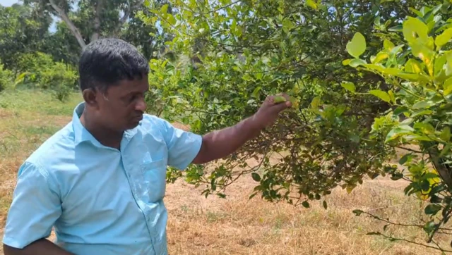 வாழ்க்கையில் ஒரு சினிமா படத்தை கூட பார்த்ததில்லை - விடுதலைப் புலிகளின் கொள்கையில் வாழும் சத்தியசீலன்