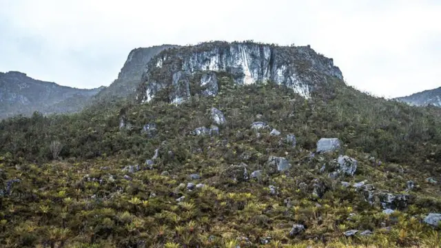 Taman Nasional Lorentz