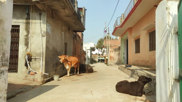 मुजफ़्फ़रनगर