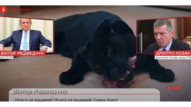 Медведчук і Козак