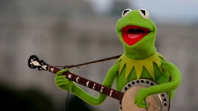 Rana René o rana Gustavo