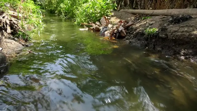 முசிறி பகுதி