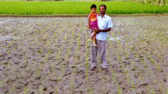 ஜெலட்டின் கேப்சூல் விதைகளை வெடிக்க செய்து விவசாய புரட்சி செய்யும் பொறியாளர்