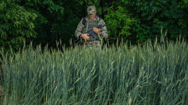 جنوبی یوکرین کے گندم کے کھیتوں میں ایک یوکرینی فوجی