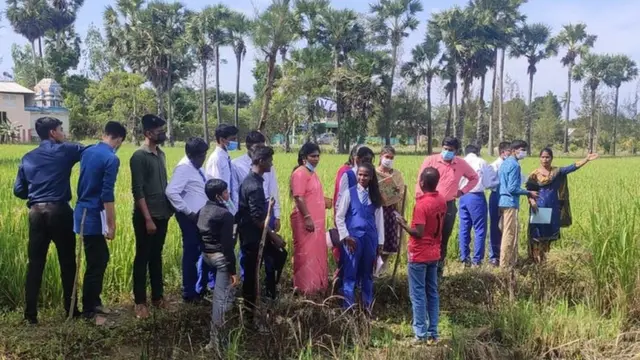 பாரம்பரிய நெல் ரகங்கள்