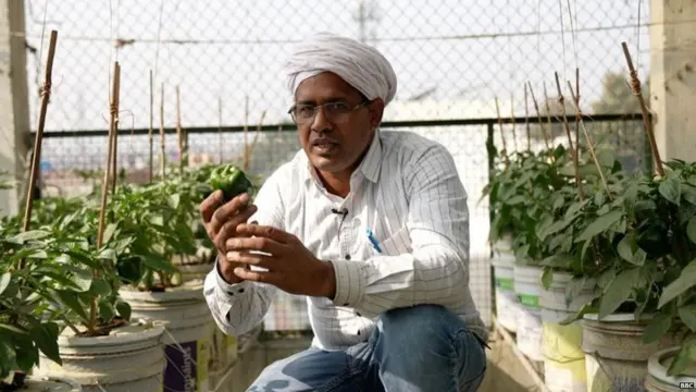 रामवीर सिंह