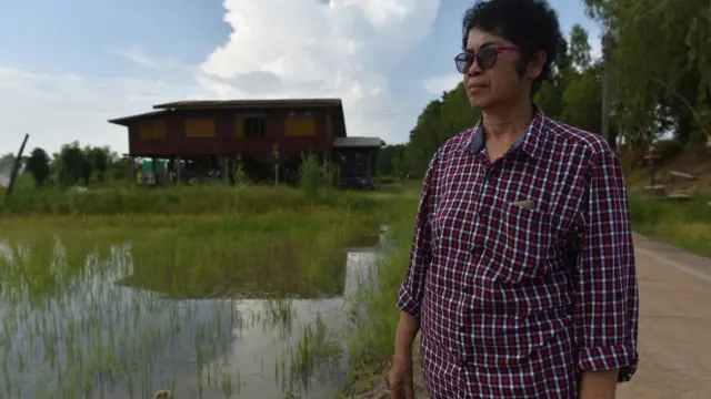 ทองเปลวมองทุ่งนา