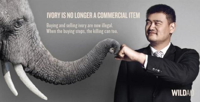 A WildAid poster featuring Yao Ming and an elephant