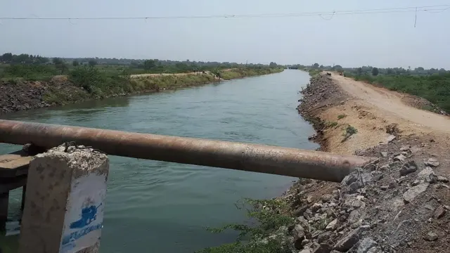 मराठवाड्यातील अनेक धरणातून यंदा शेतीला पाणी सोडणं शक्य झालं.