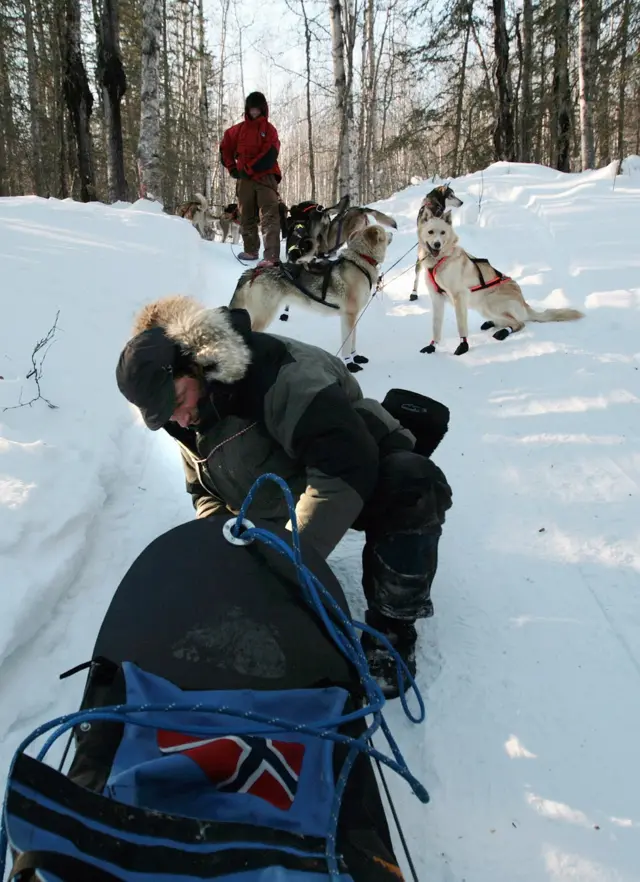 टुंड्रा, कनाडा, फ़ाइल फ़ोटो