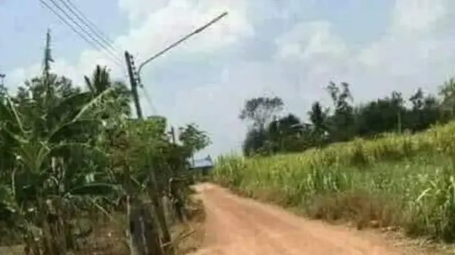 ပလိုင်းရွာအဝင်လမ်းမြင်ကွင်း