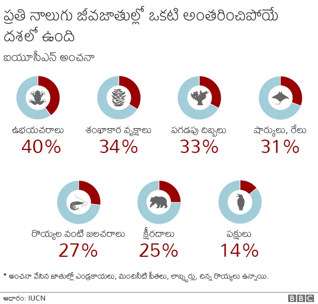 జీవ వైవిధ్యం