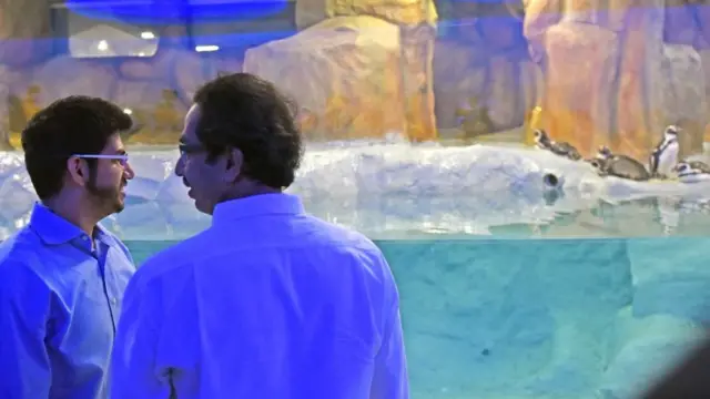 मुंबई पेंग्विन