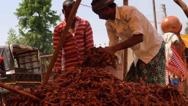 बस्तरः जहां विकास शब्द विस्थापना का पैग़ाम लेकर आता है