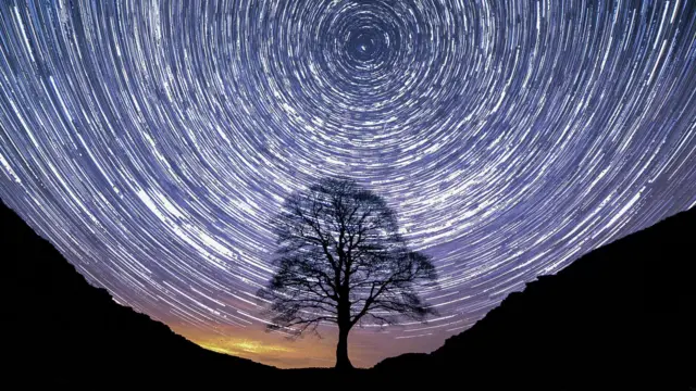 夜間に撮影されたのタイムラプス写真。山のくぼみに生えた木のシルエットの後ろで、暗い紫色の空に白い星の輪が写っている