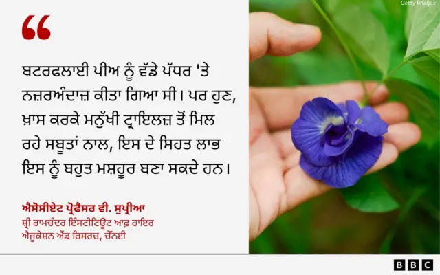 ਬਟਰਫਲਾਈ ਪੀਅ