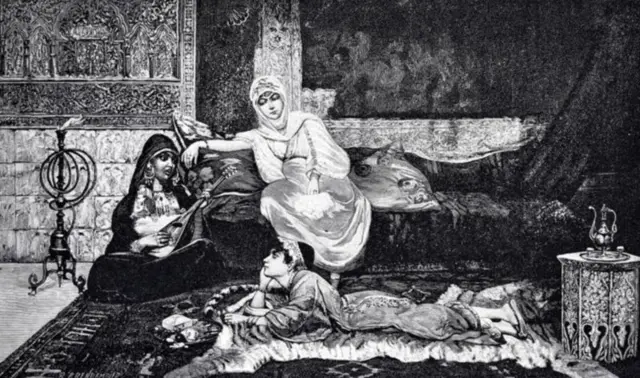 বিভিন্ন জাতি, সংস্কৃতি ও বয়সের নারীরা হেরেমে থাকতেন।