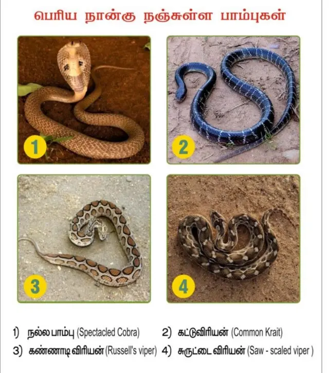 தமிழ்நாடு, பாம்புக்கடி, நகரமயமாக்கல்