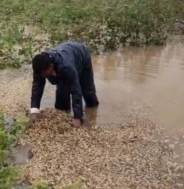 બીબીસી ગુજરાતી હવામાન વરસાદ ચોમાસું વેધર વાવાઝોડું ડિપ્રેશન સૌરાષ્ટ્ર કચ્છ દક્ષિણ ગુજરાત ભાવનગર અમરેલી