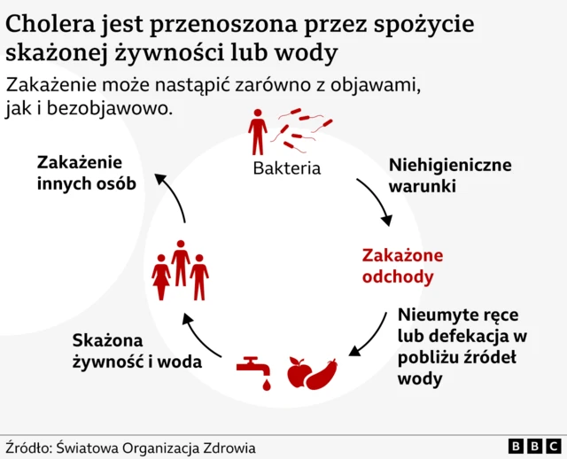 Grafika ilustrująca jak przenoszona jest cholera