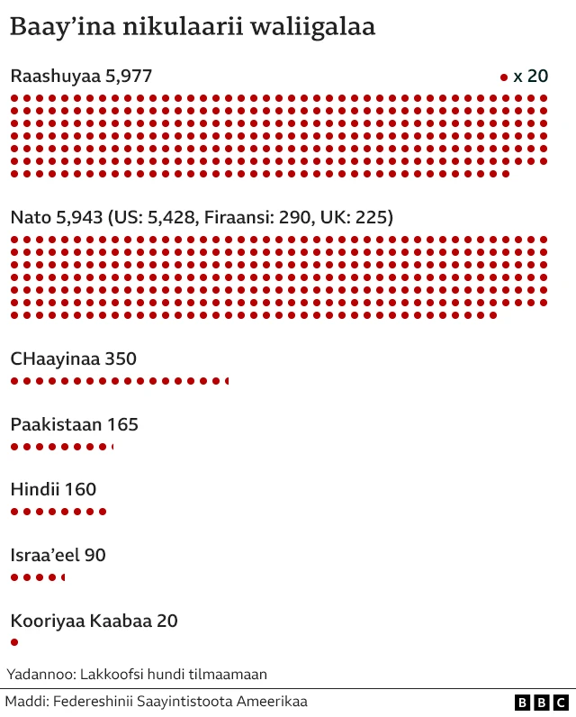 Baayina lakkoofsa nikulaaraa waliigalaa Raashiyaa