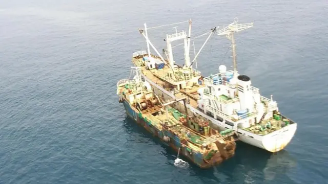 توجد بقاعٌ يُرَخَّصُ فيها لأنشطة "الشحن العابر"، لكن طريقة الشحن هذه تسمح أيضاً لـ"السفن المارقة" بتجنب عمليات الفحص والتدقيق في الموانئ