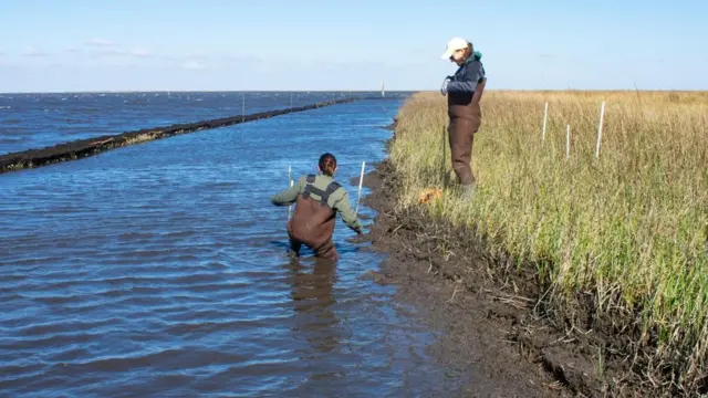 这个防御工事到底效果如何，正是团队来这里要测试的。