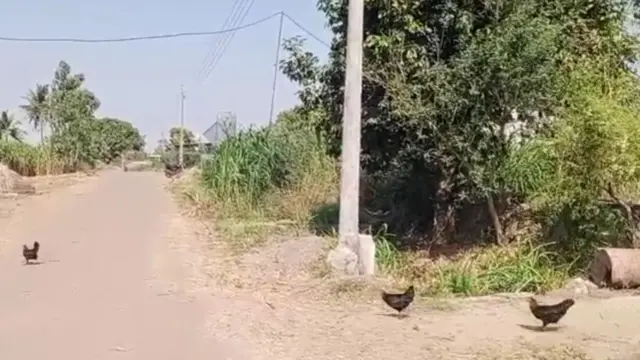 वीजेच्या खांबाला बांधून मारहाण करण्यात आली 