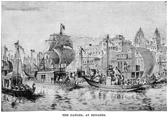 পর্তুগিজ নাবিকরা ভারতবর্ষে প্রথম আলু নিয়ে আসে বলে ধারণা করা হয়।