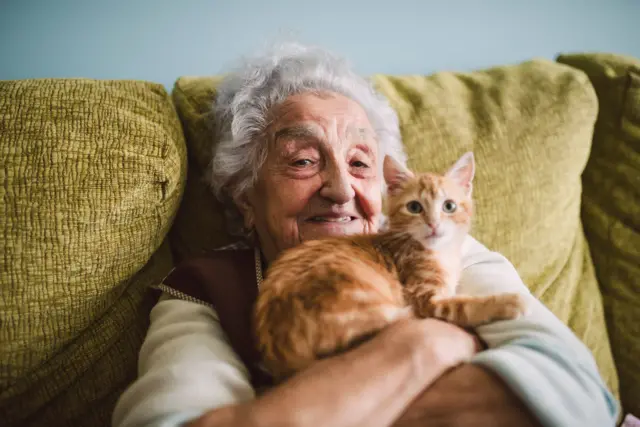 Senhora idosa abraça um gato