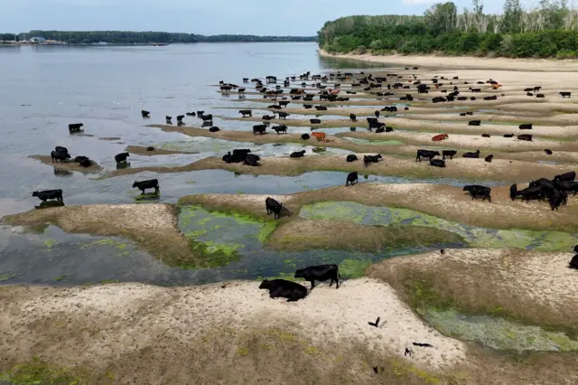 nizak vodostaj dunava u Rumuniji, dunav, vodostaj dunava, nivo dunava