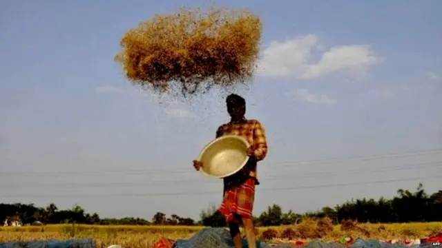 ਕਿਸਾਨ, ਖੇਤੀ ਸੰਕਟ, ਮੋਦੀ ਸਰਕਾਰ