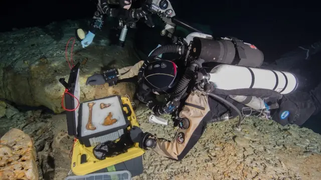 Buzos guardando huesos de Naia en una caja