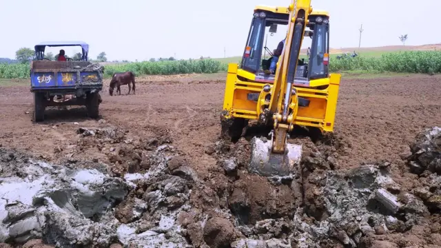 क्रिकेट पिच