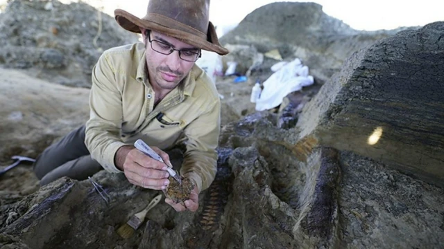 Robert DePalma : "les dinosaures et l'impact sont deux choses qui sont absolument liées dans nos esprits"