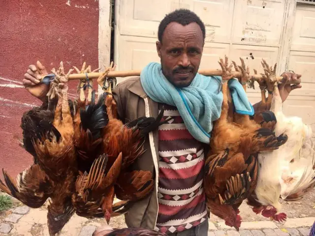 ነጋዳይ ደርሆ