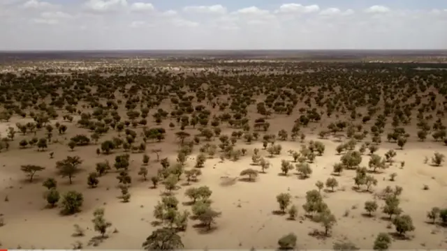 great green wall