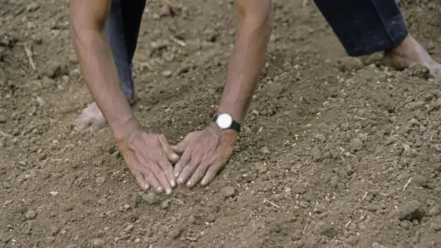 प्रातिनिधिक फोटो