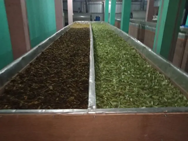 साग र गुन्द्रुक