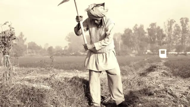 प्रातिनिधिक फोटो