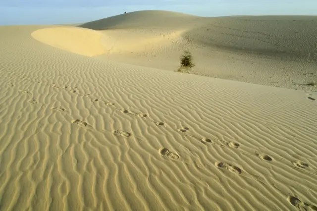 Desierto del Sahara