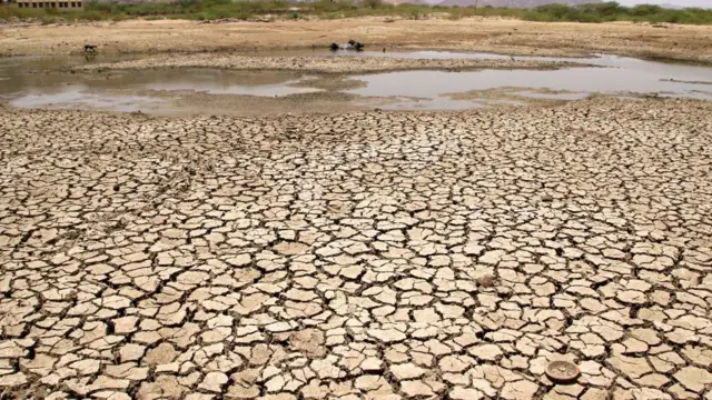 Hindistan
