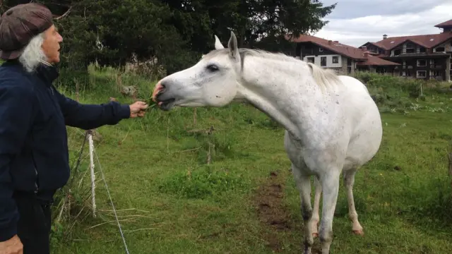 Сева и лошадь