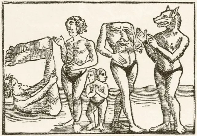 A imagem mostra uma gravura antiga em preto e branco retratando seres fantásticos com características híbridas entre humanos e animais. Entre as figuras aparecem uma criatura com cabeça de cão, outra com rosto no tronco, uma pessoa sem cabeça e outra com duas cabeças, além de um homem contorcido à esquerda. A ilustração remete às representações medievais de povos considerados "monstruosos", comuns em relatos de viajantes e bestiários da época.
