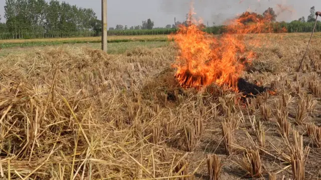 ਪਰਾਲ਼ੀ ਨੂੰ ਅੱਗ