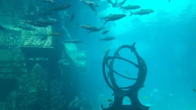  દ્વારકાના દરિયામાં સંશોધન અને ઉત્ખનન, દ્વારકા મંદિર કઈ રીતે ડૂબ્યું હતું, બેટ દ્વારકા, કૃષ્ણની સોનાની દ્વારકા કઈ રીતે ડૂબી હતી