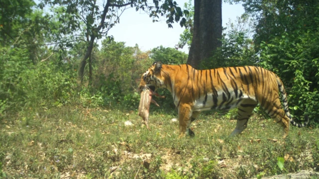 शिवपोथी