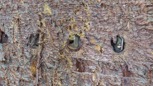 બીબીસી ગુજરાતી, ગુજરાત, ટાઇટેનિક, બીબીસી, ઇતિહાસ, ટાઇટેનિક જહાજની અંતિમ ઘડીઓમાં શું થયું હતું?