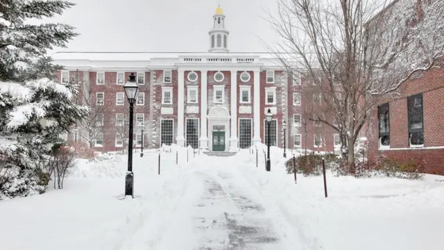 Universidade Harvard